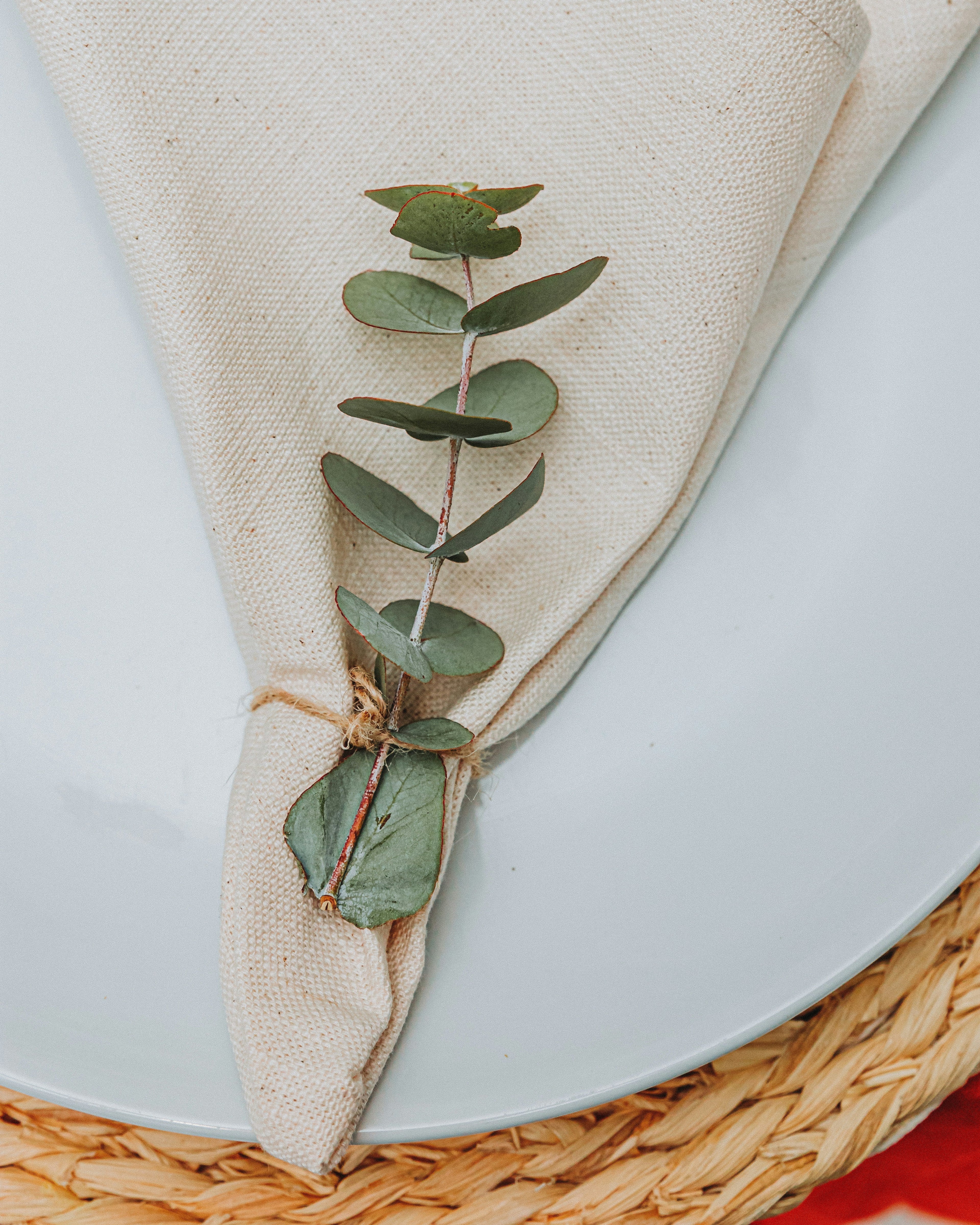 The Art of Everyday Dining: Elevating Simple Meals with Beautiful Linens