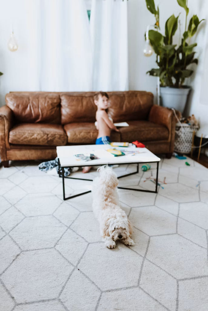 Style Meets Function: How to Choose the Perfect Washable Rug for Your Living Room