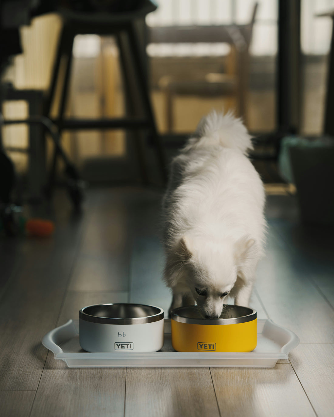 Say Goodbye to Plastic: Why Fabric-Texture Waterproof Mats Are the New Luxury for Pet Parents