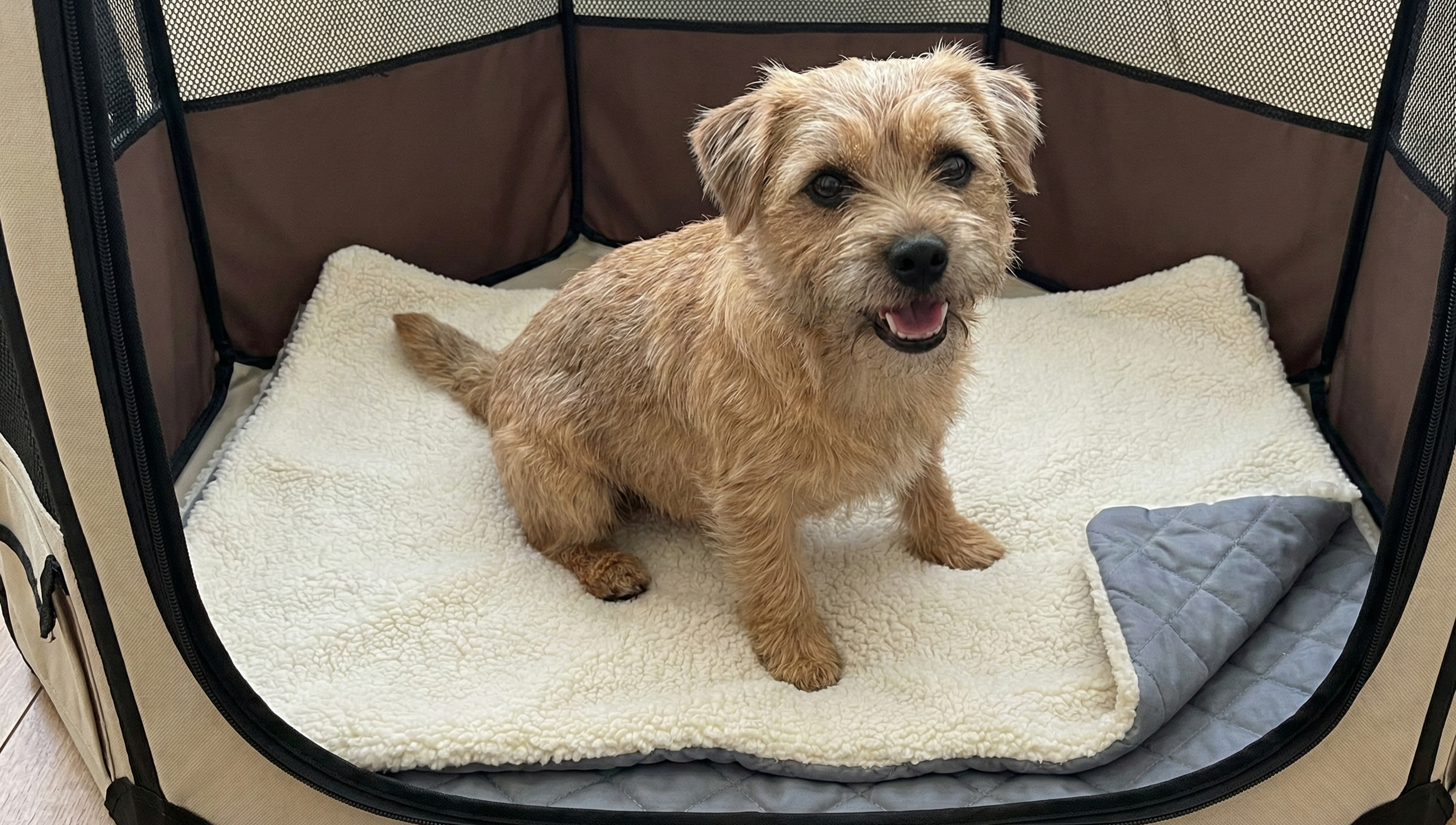 Pet Carrier Liner