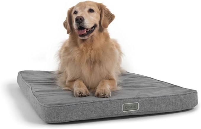 Diggs Snooz Memory Foam Dog Bed - Ideally Sized Revol Dog Crate Pad - Premium Orthopedic Pet Bed for Crate or Home - Grey, Large