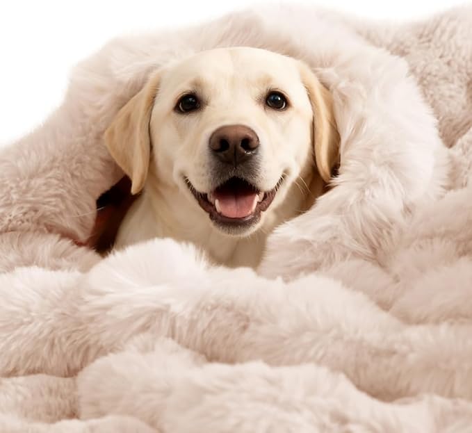 SOMAHE Dog Blanket Self-Warming Throw for Medium & Large Dogs, Dual-Side Sherpa Plush, Thick Crate Bed Cover & Car Seat Mat, Anti-Static Machine Washable No Shrink, 39x30 Inch White