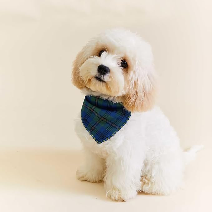Pemilosci Double Layers Two Tones Dog Cotton Square Bandana Bibs Scarf Kerchief for Small Medium Dogs Boy or Girl - DCB25 B&G