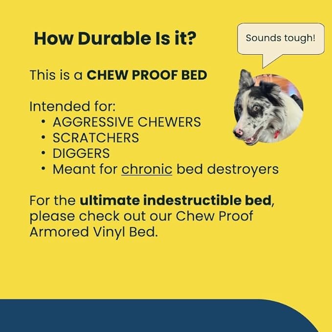 K9 Ballistics Chew Proof Elevated Outdoor Cooling Cot Bed for Medium Dogs - Virtually Indestructible, Preassembled, Withstands Aggressive Chewers - M, Ripstop Blue Quartz