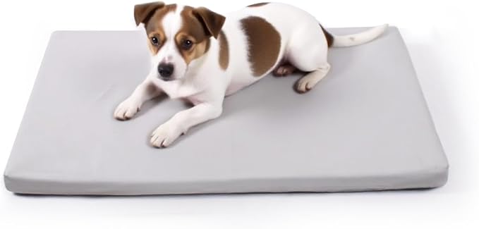 Liliowons Dog Mat,19"x 30"Dogs Crate Pad,Indoor Non-Slip & Waterproof Dog Mat,Easy Wipe Clean in Seconds，Sleeping for Floor,Car,Sofa,Crate