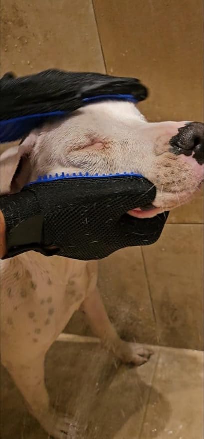Happy Smile - 2-in-1 Pet Grooming & Bath Gloves – Remove Loose Fur, Deep Clean, Stress-Free Massage for Dogs & Cats