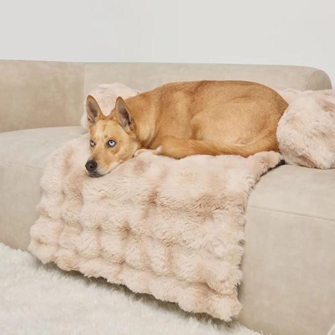 Dream Cloud Pet Sofa Bed – Washable, Waterproof, and High Comfort, Non-Slip Orthopedic Plush Dog Mat for Sofa, Car & Floor (Cappuccino, Medium)