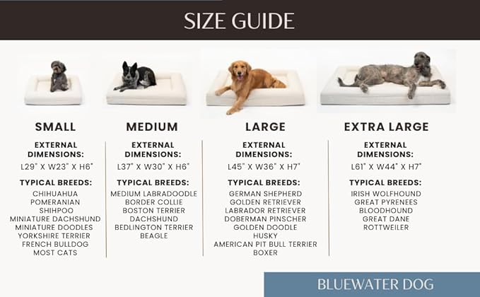 Bluewater Dog Luxury Boucle Orthopedic Memory Foam Dog Bed with Waterproof Liner and Machine Washable Cover with YKK Zippers (Small, 29" L x 23" W x 6" Th, Ocean Blue)