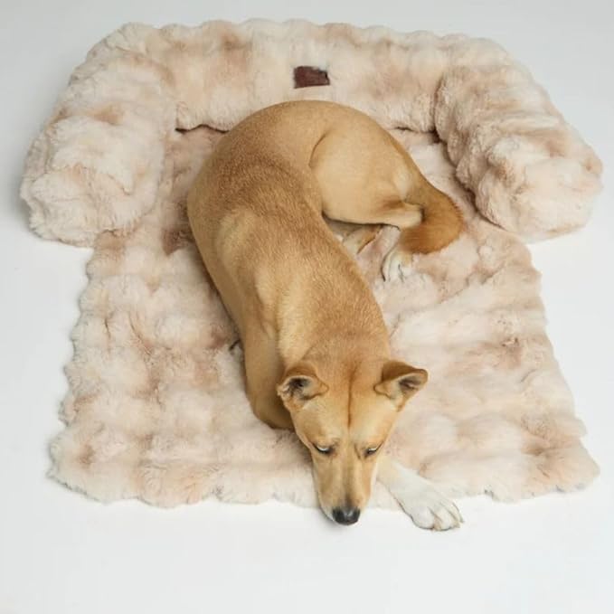 Dream Cloud Pet Sofa Bed – Washable, Waterproof, and High Comfort, Non-Slip Orthopedic Plush Dog Mat for Sofa, Car & Floor (Cappuccino, Small)