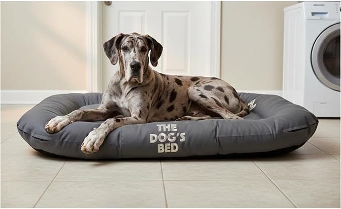 The Dog’s Bed Utility Waterproof Dog Bed, XXL, Grey – Extra Extra Large Outdoor Dog Bed for Giant Breeds, Durable Oxford Fabric, Tough YKK Zippers, Washable Removable Cover