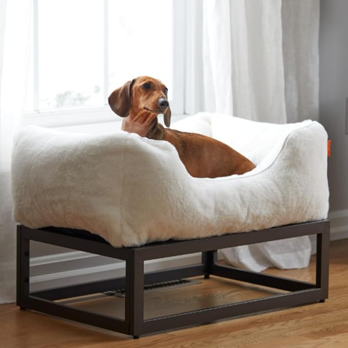 FUZI Elevated Dog Bed Small, Luxury Raised Dog Beds, Removable and Machine Washable Bed Cover, Indoor/Outdoor Orthopedic Pet Bed, Small 25.1x16.75x18 Soft White & Dark Brown Base