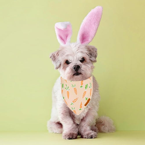 ADOGGYGO Easter Dog Bandanas, Rabbit Carrot Puppy Scarf, Multi Size Offered, Orange Blue Easter Bandana for Small Dogs Pets (Small)