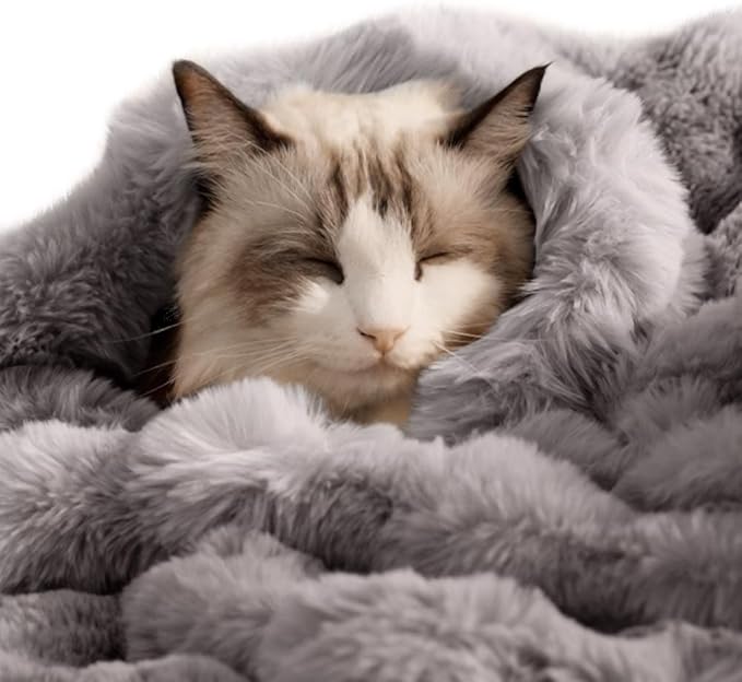 SOMAHE Self-Warming Cat Blanket, Dual-Side Plush Sherpa Throw with Anti-Static, Snuggle Mat for Kittens & Cats, Cozy Bed Topper for Windowsills & Couches, Machine Washable & Dryable, 21x18 Inch Gray