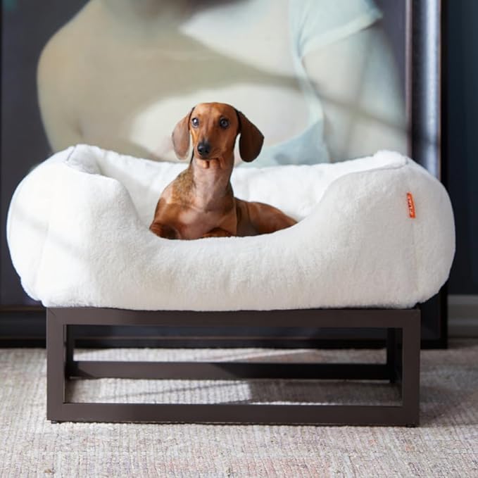 FUZI Elevated Dog Bed Small with Extra Cover, Luxury Raised Dog Beds, Removable and Machine Washable Bed Cover, Indoor/Outdoor Orthopedic Pet Bed, Small 25.1x16.75x18 Soft White & Dark Brown Base