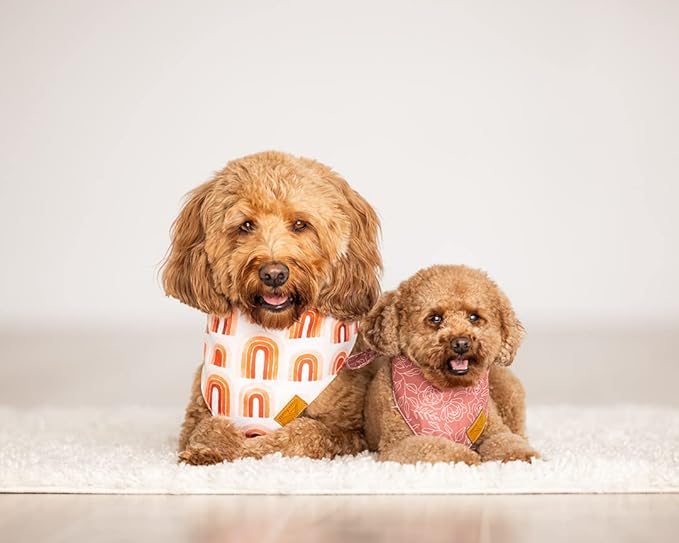 Remy+Roo Extra Large Spring Dog Bandanas - 4 Pack Rubi Set | Premium Durable Adjustable Polyester Fabric | Patented Shape Girl Floral Bandana