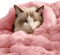 Cat Blanket for Indoor Cats Ultra Soft Plush Faux Fur Kitten Blankets Machine Washable Reversible Pet Throw Protector for Couch Furniture 21"X 18"Peach Pink