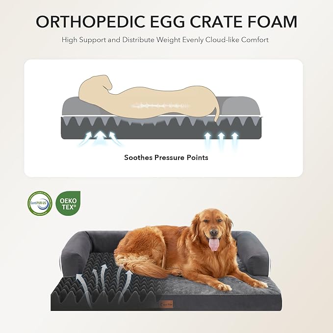 Casa Paw Orthopedic Dog Beds for Large Sized Dogs, Waterproof Egg Crate Foam Large Dog Couch Beds with Comfy Bolster 36x27Inch, Washable Pet Beds with Removable Cover and Nonskid Bottom, Dark Grey