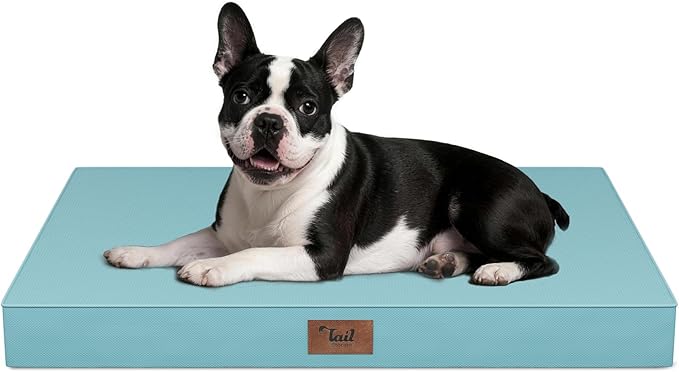 Tail Stories Outdoor Orthopedic Dog Bed for Medium Dogs & Cats, Waterproof Flat Pet Mat with Egg Crate Foam & Washable Removable Oxford Cover, 30x20 Inch, Light Blue