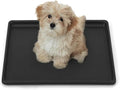 BOWHAUS 22.7-Inch Dog Crate Pan Replacement, Sturdy, Waterproof Plastic Tray for 24-Inch Pet, Rabbit Ferret Critter Kennels, Versatile Pan and Easy to Clean