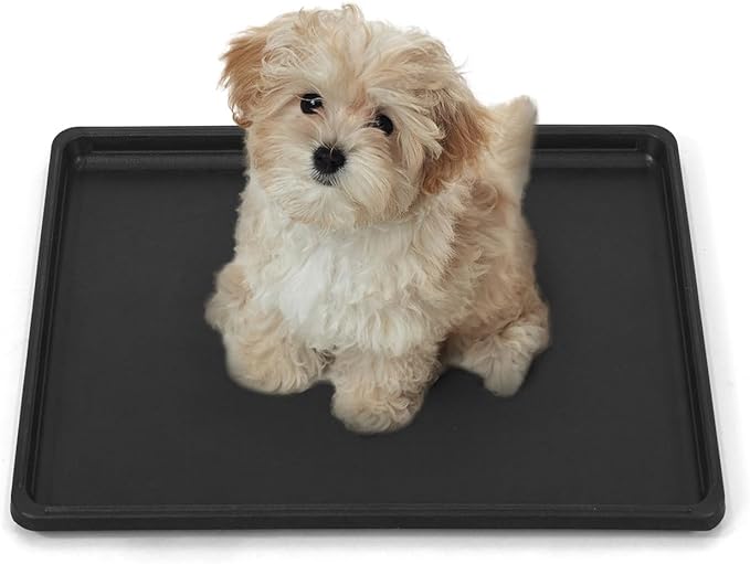 BOWHAUS 22.7-Inch Dog Crate Pan Replacement, Sturdy, Waterproof Plastic Tray for 24-Inch Pet, Rabbit Ferret Critter Kennels, Versatile Pan and Easy to Clean
