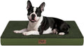 Tail Stories Plush Orthopedic Dog Bed for Medium Dogs & Puppies, Waterproof Dog Beds 29x18 Inch with Removable Washable Cover, Egg Crate Foam Flat Pet Mat, Olive Green
