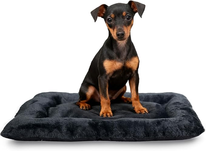 Pet Bed for Crate 22 x 13 inch Fit Dogs or Cats Washable&Anti-Slip,Ultra Soft XS Dog Beds Kennel Pad for Cage Soft Flat Puppy Kitten Cushion Sleeping Mat,Black