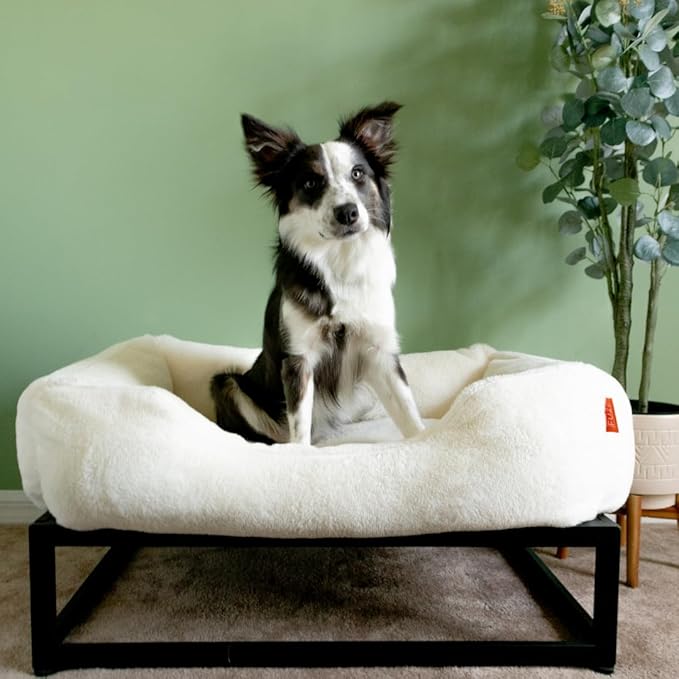 FUZI Dog Bed Elevated Medium, Machine Washable Cover, Indoor/Outdoor Bed, Dogs Couch with Removable Washable Cover, Dog Sofa Medium 31.75x23.6x18 Soft White & Black Base
