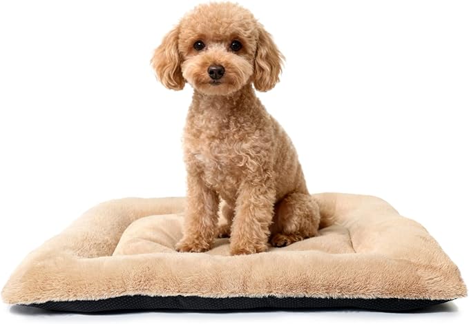Small Dog Crate Pad 22 x 13 Washable Dog Beds for Extra Small Dogs, Fluffy Comfy Deluxe Plush XS Pet Bed for Kennel Soft Flat Puppy Kitten Cushion for Sleeping Anti-Slip,Light Brown