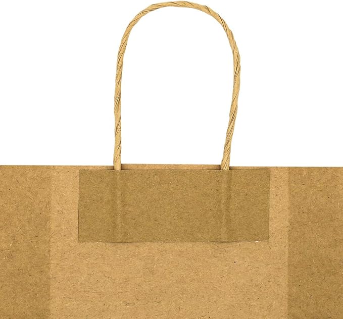 bagmad Small 100 Pack 5.25x3.25x8 Inch Black Kraft Paper Bags with Handles Bulk, Gift Bags, Craft Grocery Shopping Retail Party Favors Wedding Business Sacks (Black, 100pcs)