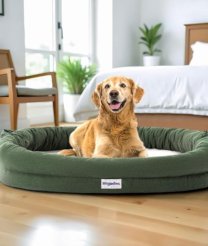 bilypaws Orthopedic Dog Bed for Large Dogs, Pet Sofa Bed with Egg Crate Foam, 4-Sided Bolster, Removable Washable Cover & Anti-Slip Bottom, XX-Large Calliste Green