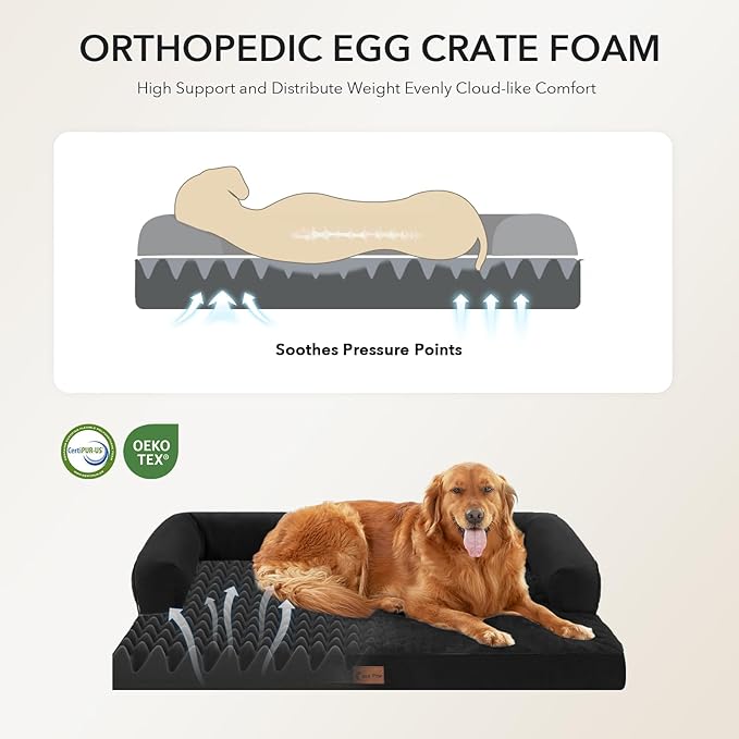 Casa Paw Orthopedic Dog Beds for Extra Large Dogs, Waterproof Egg Crate Foam XL Dog Bed with Sides 48x30Inch, Big Dogs Couch Beds with Removable Washable Cover and Nonskid Bottom, Black