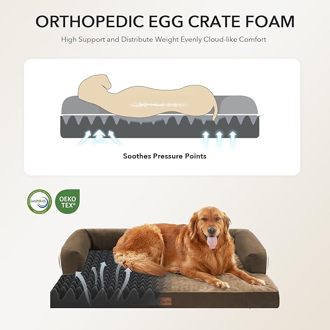 Casa Paw Orthopedic XXL Dog Beds, Waterproof Egg Crate Foam Big Pet Bed for All Breed Sized Dogs 53x42Inch, Washable Extra Large Dog Couch Bed with Removable Cover and Non-Slip Bottom, Brown