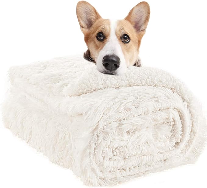 LOCHAS Luxury Fluffy Dog Blanket, Extra Soft and Warm Sherpa Fleece Pet Blankets for Dogs Cats, Plush Furry Faux Fur Puppy Throw Cover, 40''x60'' Cream White