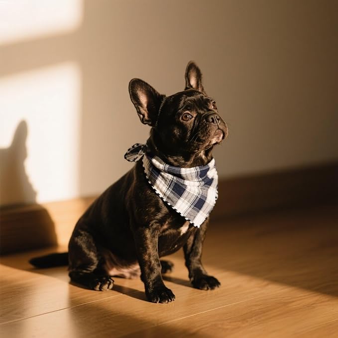 Pemilosci Double Layers Two Tones Dog Cotton Square Bandana Bibs Scarf Kerchief for Small Medium Dogs Boy or Girl - DCB05 B&G