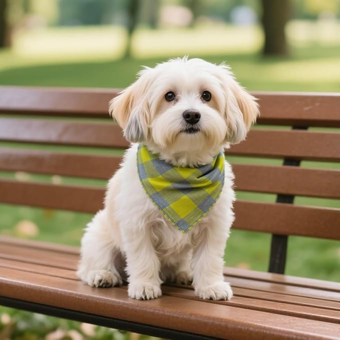 Pemilosci Double Layers Two Tones Dog Cotton Square Bandana Bibs Scarf Kerchief for Small Medium Dogs Boy or Girl - DCB16 G&G