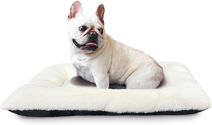 Small Dog Bed for Crate 24 x 18 Ultra Soft Crate Pads for Dog Cages Washable & Anti-Slip Kennel Pad for Dogs Cozy Sleeping Mat Cushion Pillow，Beige 24inch