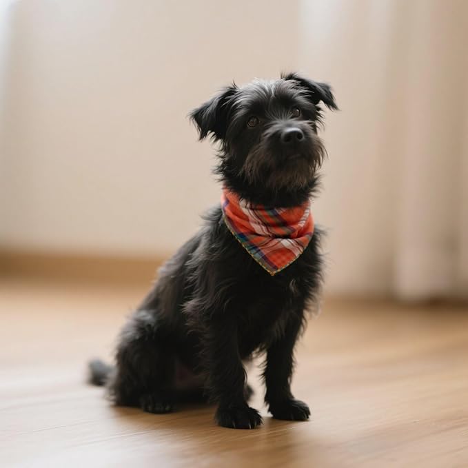Pemilosci Double Layers Two Tones Dog Cotton Square Bandana Bibs Scarf Kerchief for Small Medium Dogs Boy or Girl - DCB21 O&G