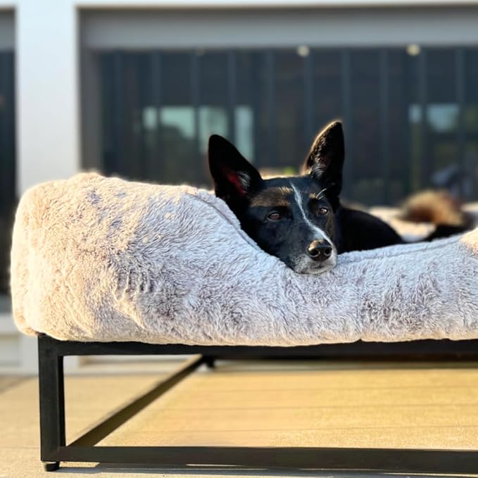 FUZI Elevated Dog Bed Large, Luxury Raised Dog Beds, Removable and Machine Washable Bed Cover, Indoor/Outdoor Orthopedic Pet Bed, Large 35.6x28.5x18 Light Grey & Black Base