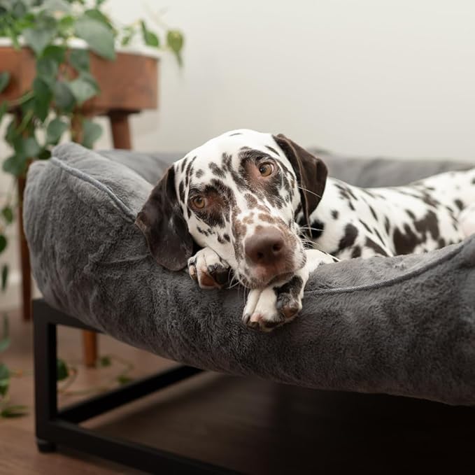 FUZI Elevated Dog Bed Medium with Extra Cover, Luxury Raised Dog Beds, Removable and Machine Washable Bed Cover, Indoor/Outdoor Orthopedic Pet Bed, Medium 31.75x23.6x18 Dark Grey and Black Base
