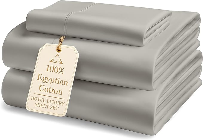 LANE LINEN 100% Egyptian Cotton Bed Sheets Twin XL - 1000 Thread Count, Soft & Comfy Luxury Hotel Thick Bedding Sheets & Pillowcase Set, Machine Wash Cooling 15'' Twin XL Deep Pocket Sheet Set-Silver