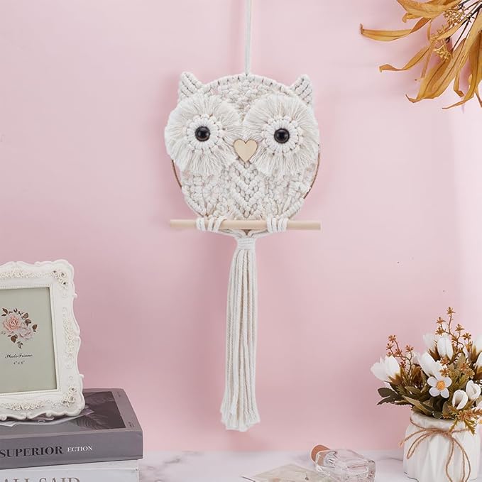FREEBLOSS Macrame Owl Kit for Beginners Macrame Wall Hanging Kit White Cotton Cord DIY Owl Kit with Video Tutorial Hanging Decor for Adults Gift