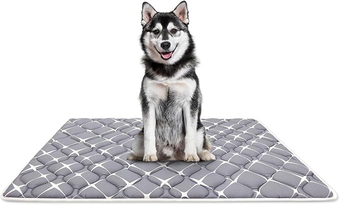 Bubble bear Dog Crate Mat - Ultra Soft, Washable & Anti-Slip Kennel Pad for Small/Medium/Large Dogs, Dark-Hued to Hide Stains (48"x30")