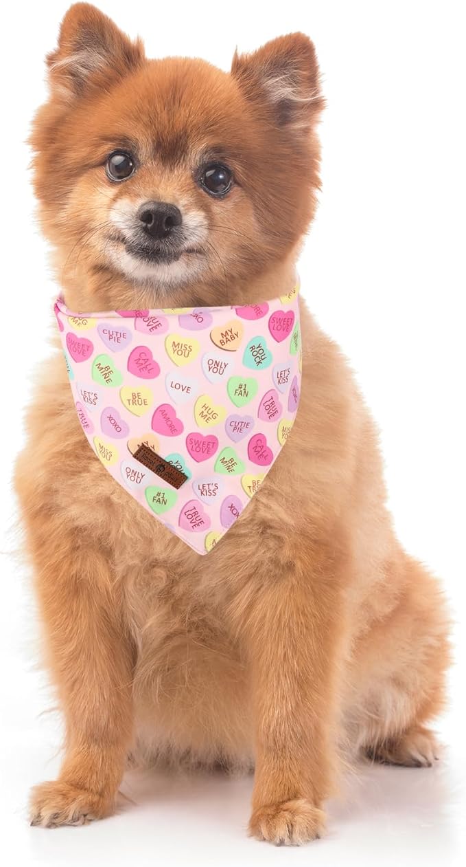 Lionet Paws Valentine's 2pcs Dog Bandanas, Red Floral Dog Scarf Bib Premium Fabric, Happy Valentine Heart Bandanas for Small Medium Dogs Pets