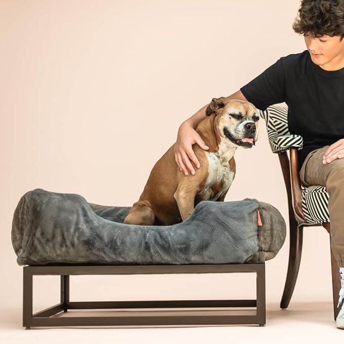 FUZI Elevated Dog Bed Small with Extra Cover, Luxury Raised Dog Beds, Removable and Machine Washable Bed Cover, Indoor/Outdoor Orthopedic Pet Bed, Small 25.1x16.75x18 Dark Grey and Black Base