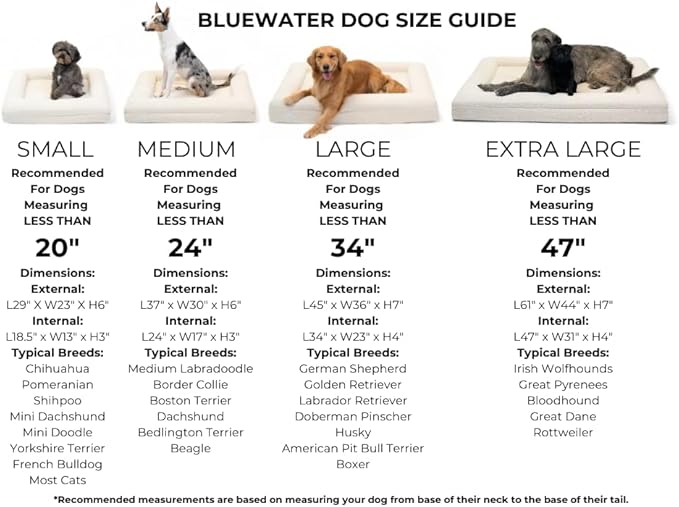 Bluewater Dog Luxury Boucle Orthopedic Memory Foam Dog Bed with Waterproof Liner and Machine Washable Cover with YKK Zippers (Small, 29" L x 23" W x 6" Th, Cloud)