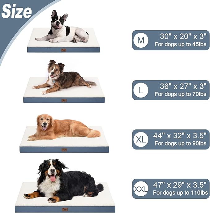 Tail Stories Plush Orthopedic Dog Bed for Medium Dogs & Puppies, Waterproof Dog Beds 30x20 Inch with Removable Washable Cover, Egg Crate Foam Flat Pet Mat, Blue White