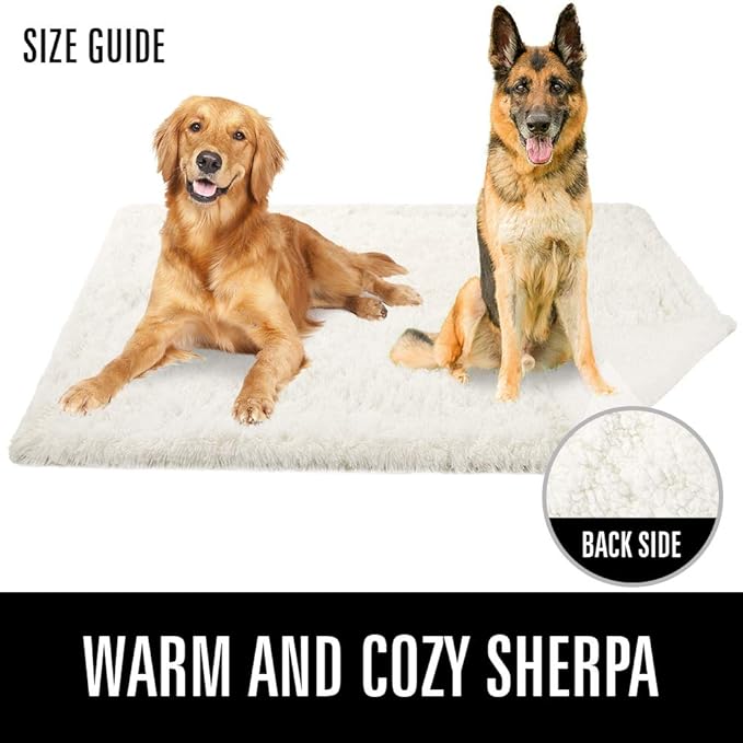LOCHAS Luxury Fluffy Dog Blanket, Extra Soft and Warm Sherpa Fleece Pet Blankets for Dogs Cats, Plush Furry Faux Fur Puppy Throw Cover, 40''x60'' Cream White