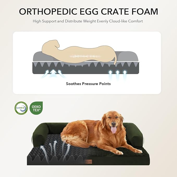 Casa Paw Orthopedic Dog Beds for Large Sized Dogs, Waterproof Egg Crate Foam Medium Dog Couch Beds for Crate 35x22Inch, Washable Pet Beds with Removable Cover and Nonskid Bottom, Olive Green