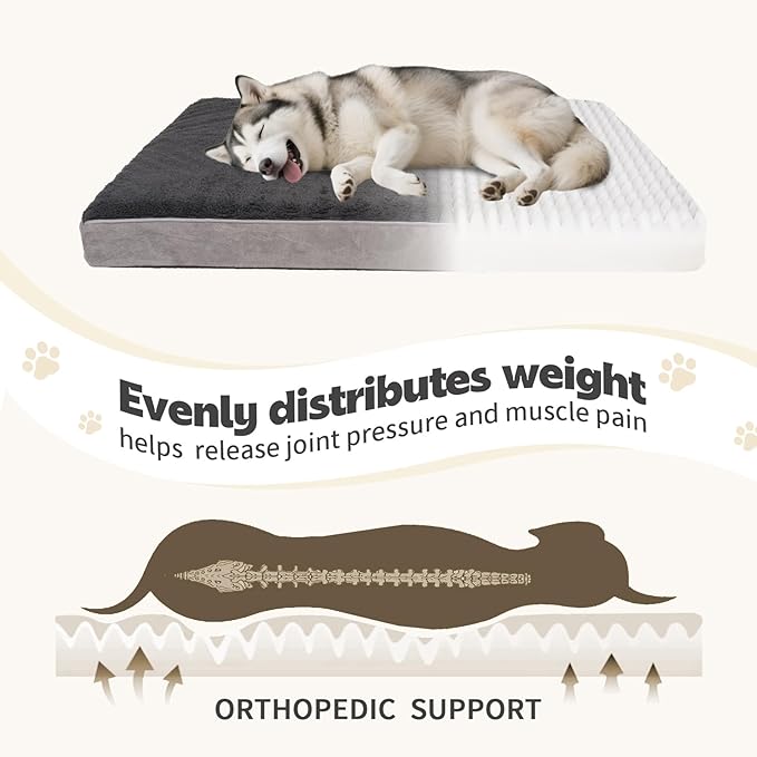 Dog Beds Waterproof Medium/Large Sized XL Foam Pet Beds Removable Washable Cover Dog Sofa Egg Crate Foam Support with Zipper Bottom Bolster Deluxe Plush Mat (Grey+38.2x27.5x3.5in)