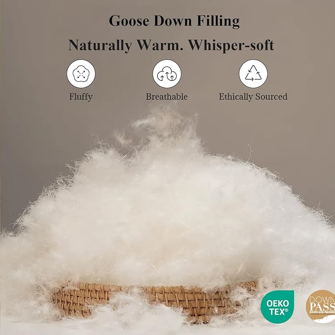 Globon Queen Goose Down Comforter,800 Fill Power All Seasons Luxury Duvet Insert,420 Thread Count Soft Noiseless Shell, Medium Weight with 8 Corner Tabs, White